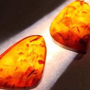 Vintage baltic amber earrings Drops